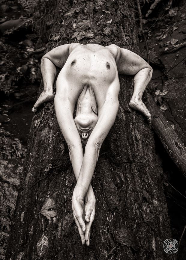 exaltation artistic nude photo by photographer poorx photography
