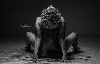 expressions artistic nude artwork by photographer trezz johnson