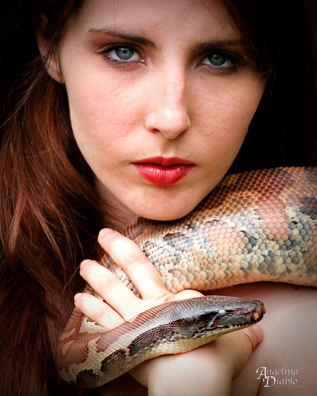 eyes of a snake nature photo by photographer angelina diablo