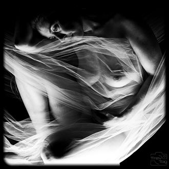 fabric and light artistic nude photo by photographer trevtog