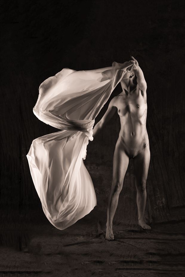 fabric and physique artistic nude photo by photographer dorola visual artist