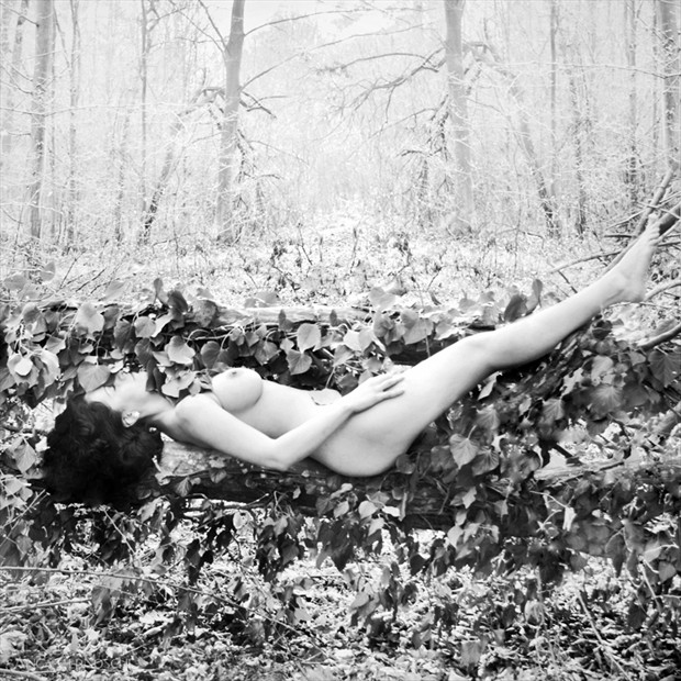 fairytale Artistic Nude Photo by Photographer Anca Cernoschi