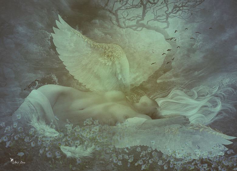 fallen angel artistic nude artwork by artist digital desires