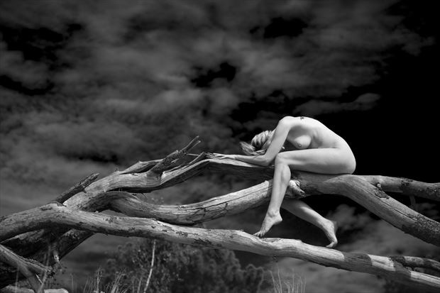 fallen angel artistic nude photo by photographer louis sauter