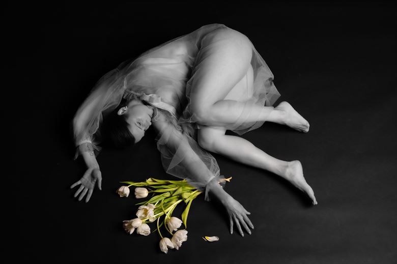 fallen flowers artistic nude photo by photographer luminosity curves