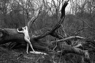 fallen giant artistic nude photo by photographer amazilia photography
