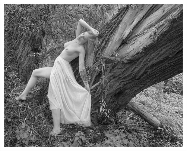fallen tree no 548 artistic nude photo by photographer g r nylander