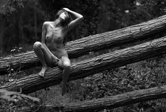 fallen trees artistic nude photo by photographer gibson