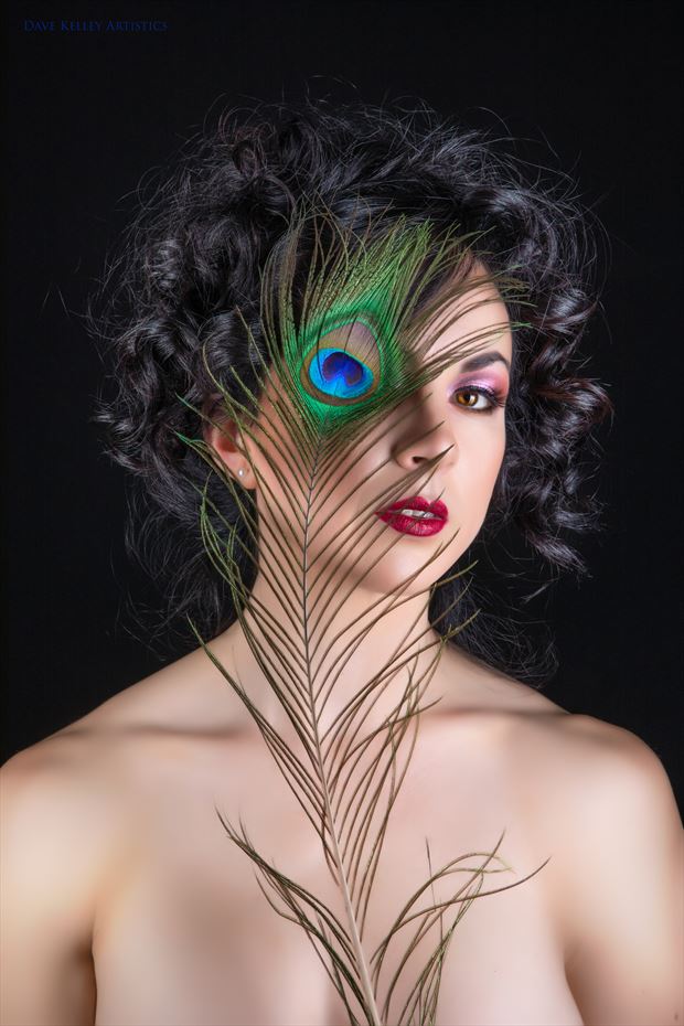 feather Surreal Photo by Photographer Dave Kelley Artistics