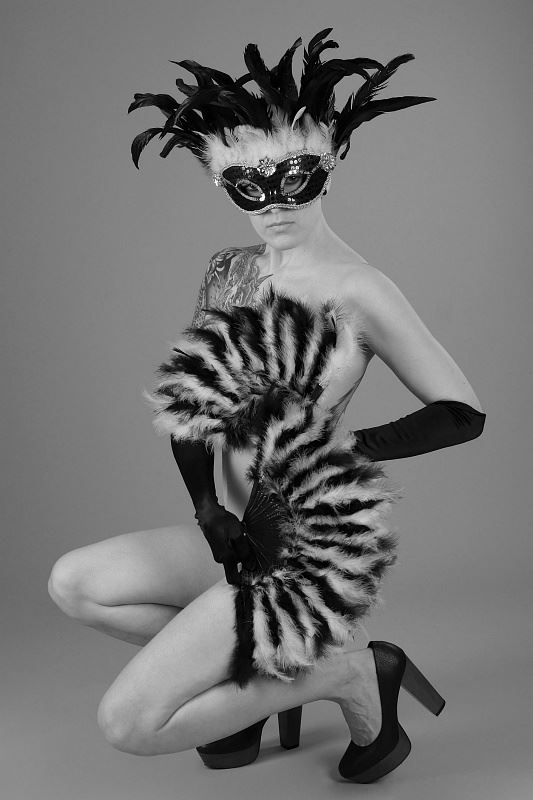 feathers and fans artistic nude photo by photographer anders bildmakare