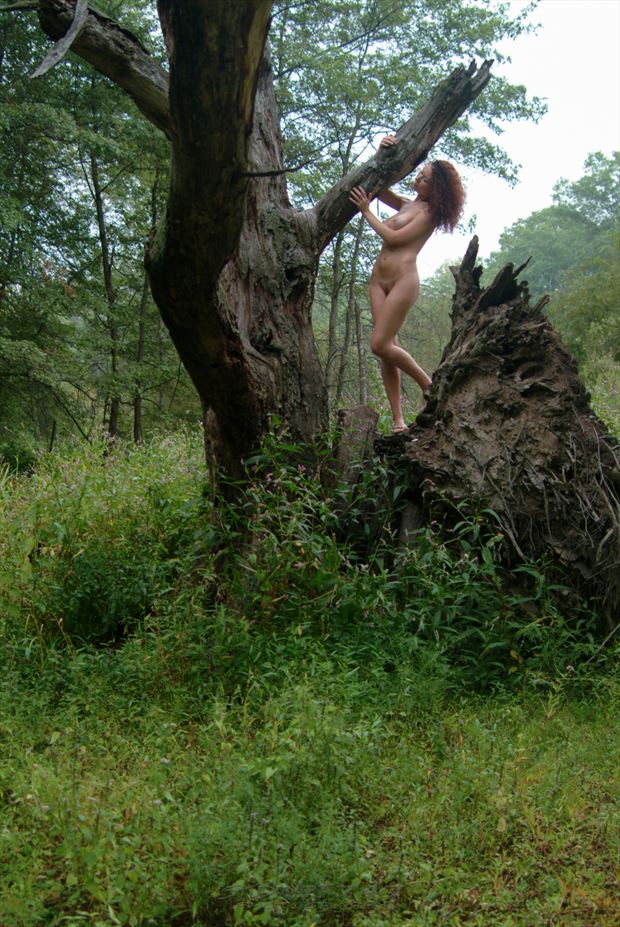 felicia grt swamp 08 artistic nude photo by photographer studio747