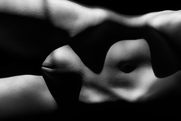 female shapes of beauty 2 artistic nude photo by photographer colin dixon