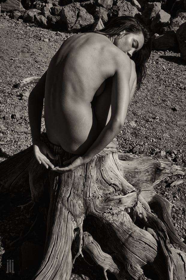 femina and the roots artistic nude photo by photographer james landon johnson