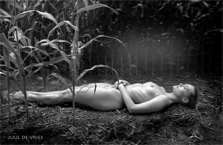 field of maize artistic nude photo by photographer juul de vries