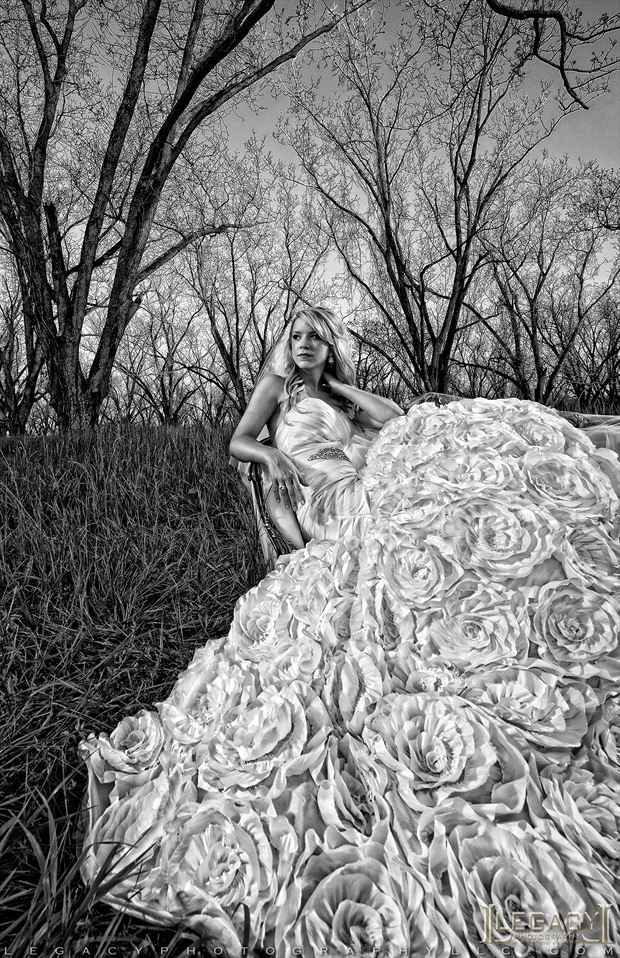 field of roses in b w nature photo by photographer legacyphotographyllc