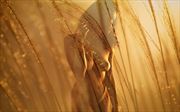 fields of gold artistic nude photo by model loreley