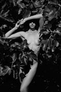fig tree artistic nude photo by photographer castrourdiales