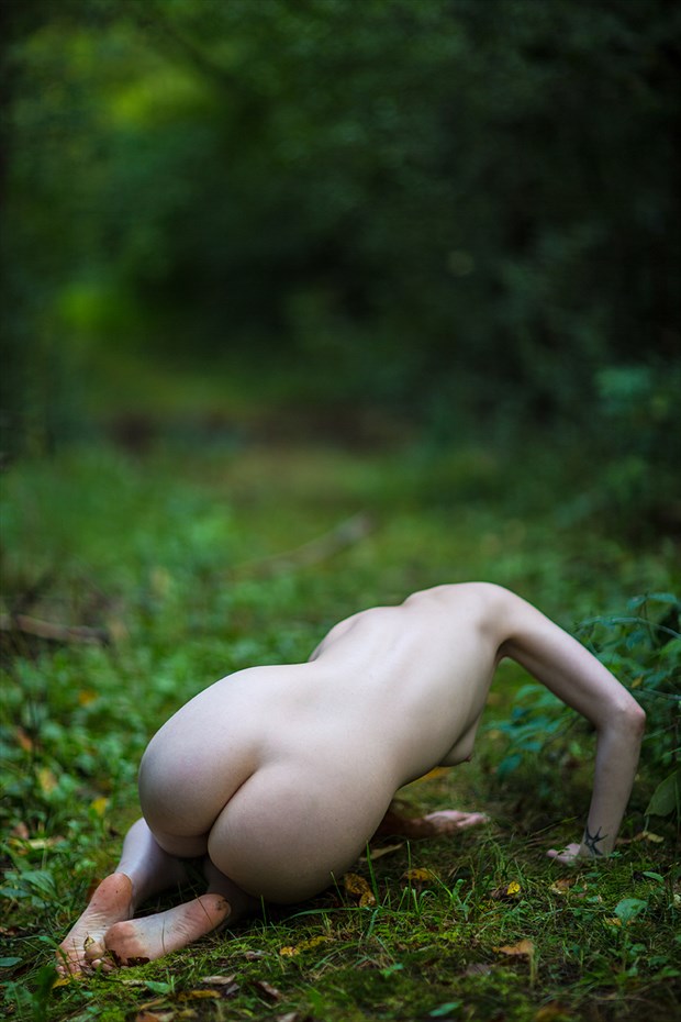 figure study artistic nude photo by model icelandic selkie