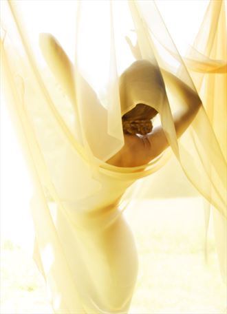 figure study in yellow sheer implied nude photo by photographer fred scholpp photo