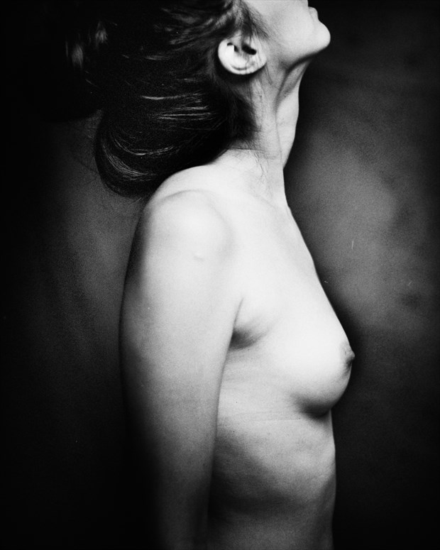 filamente artistic nude artwork by photographer marcvonmartial