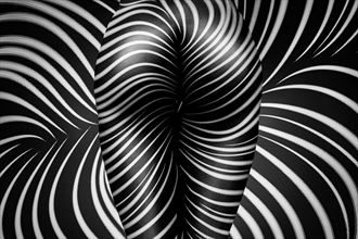 fine zebra nuded art artistic nude artwork by photographer kristian liebrand