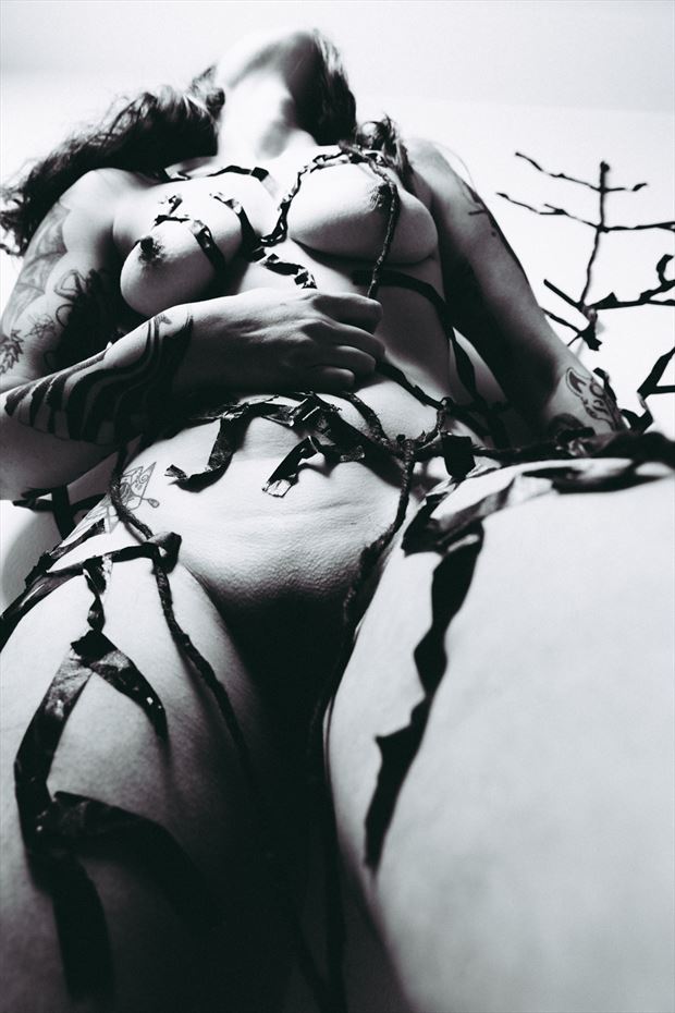 fissures ii artistic nude photo by model mystique