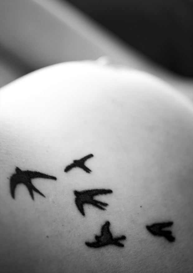 five little birds artistic nude photo by model eva marie