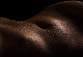 flesh Artistic Nude Photo by Photographer DesirePic