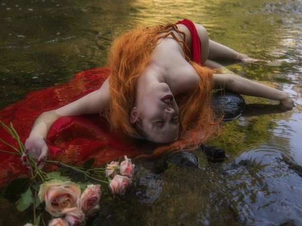 fleur d eau 5 bis artistic nude photo by photographer visions dt