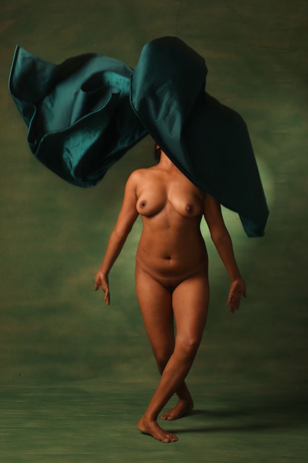 floating fabric artistic nude photo by photographer inder gopal