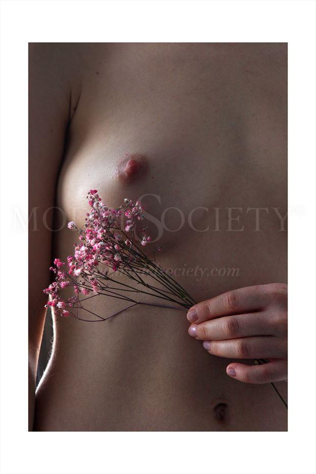 floristic artistic nude photo by photographer kumar fotographer