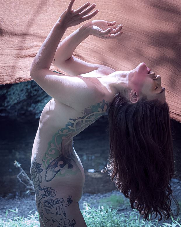 flow 2 artistic nude photo by photographer crimson fang photo