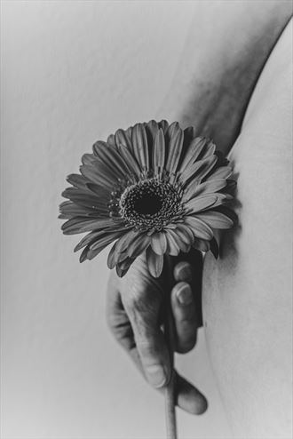 flower b w artistic nude photo by photographer day600