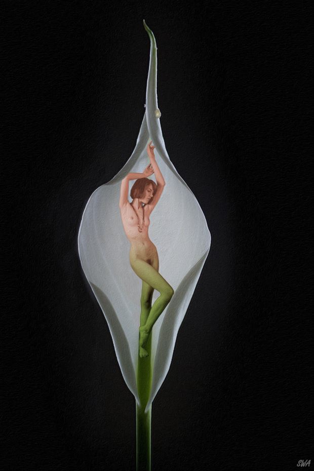 flowering artistic nude photo by photographer swaphoto