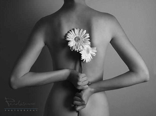 flowers by paulo soares artistic nude photo by photographer www paulosoares net