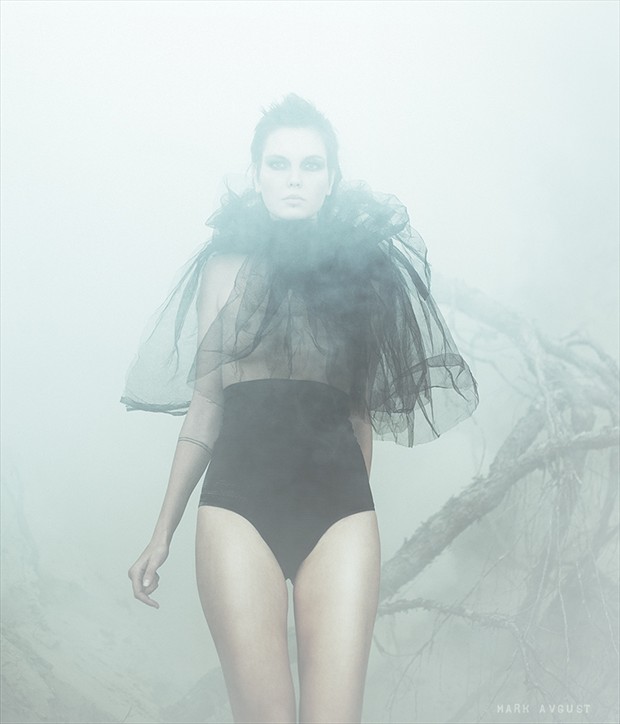 foggirl Artistic Nude Photo by Photographer markavgust