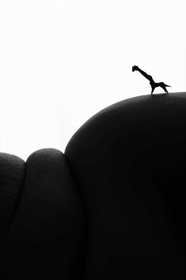 folds and form giraffe i artistic nude photo by photographer adero