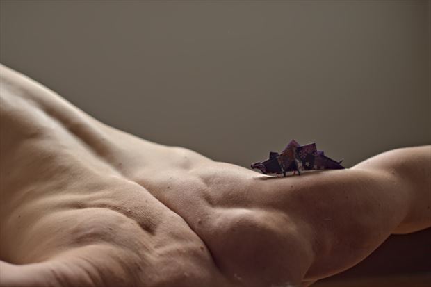 folds and form stegosaurus artistic nude photo by photographer adero