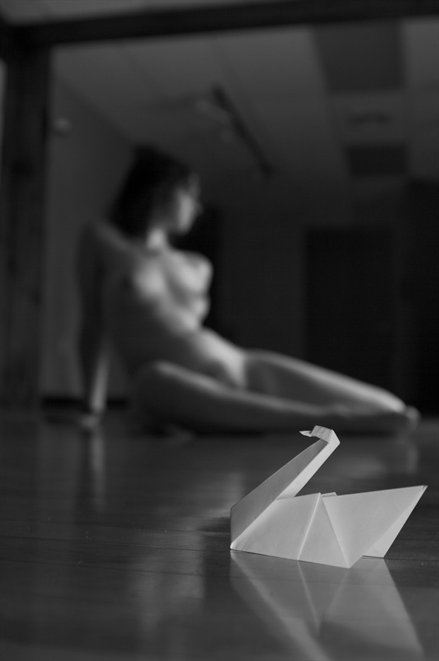folds and form swans ii artistic nude photo by photographer adero