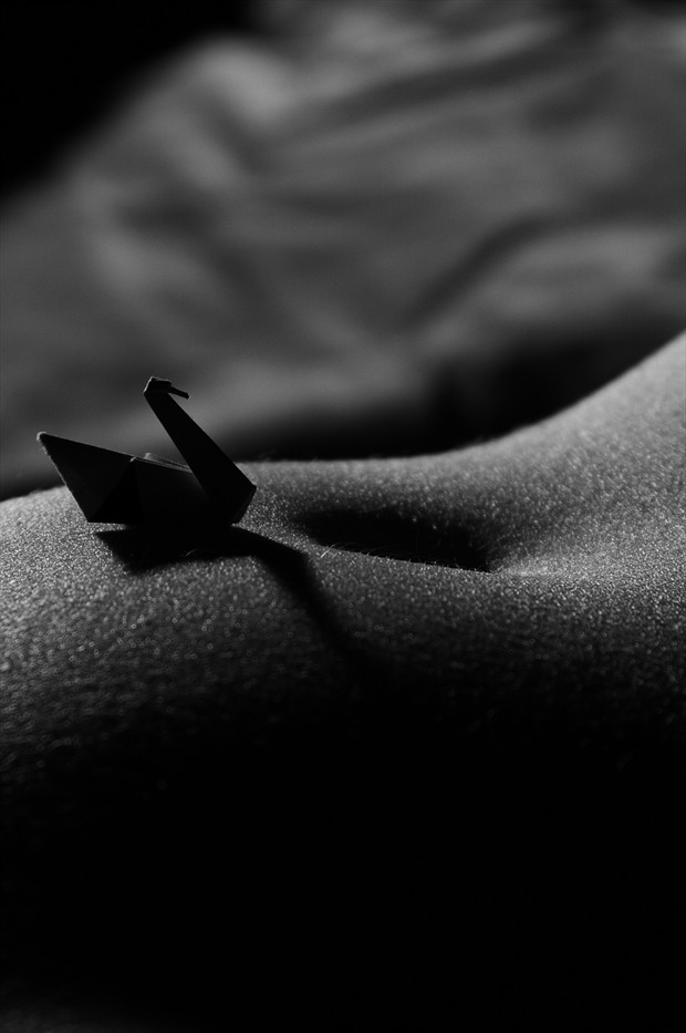folds and form swans iii artistic nude photo by photographer adero