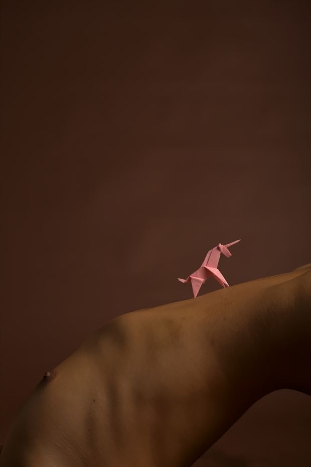 folds and form unicorn artistic nude photo by photographer adero