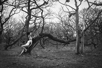 forest artistic nude photo by photographer erik van rosmalen