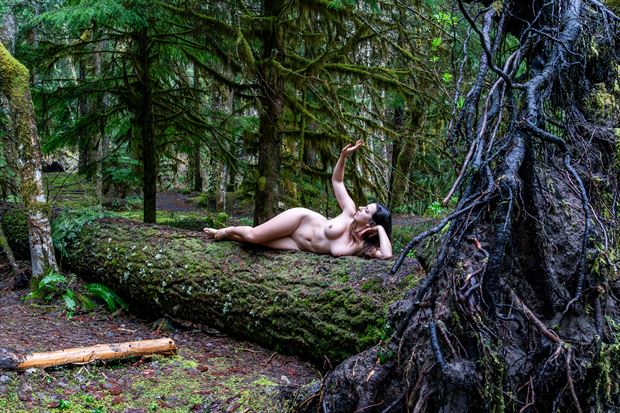 forest bathing artistic nude photo by photographer chris watts
