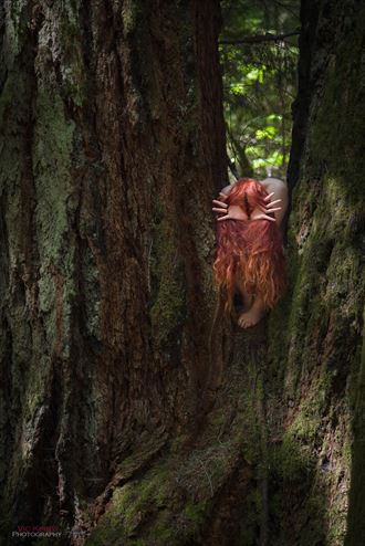 forest creature nature photo by photographer acuity
