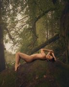 forest dreams artistic nude photo by photographer the artlaw