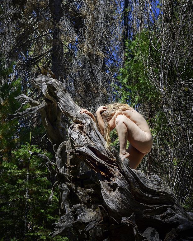 forest free spirit 3 artistic nude photo by photographer tony64