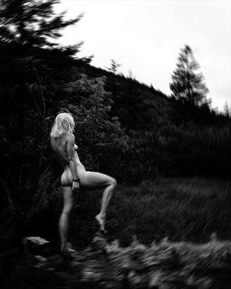 forest nude artistic nude photo by photographer justin wright