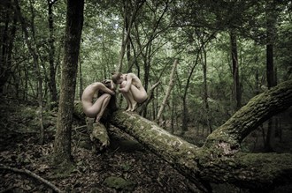 forest nudes artistic nude photo by photographer photowyse