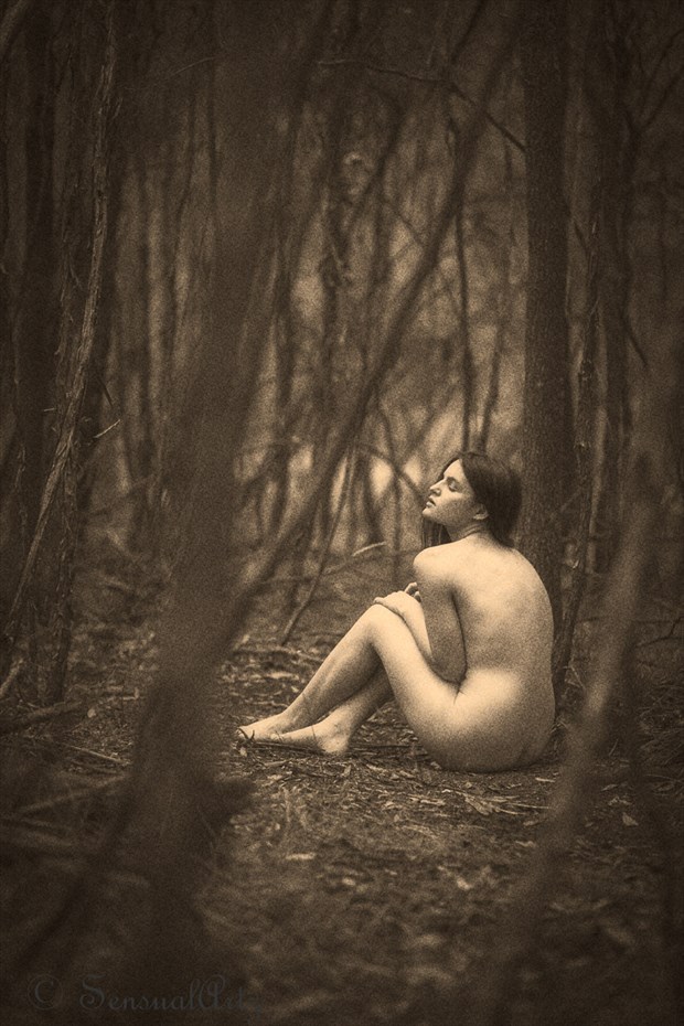 forest nymph Artistic Nude Photo by Photographer Sensual Artz