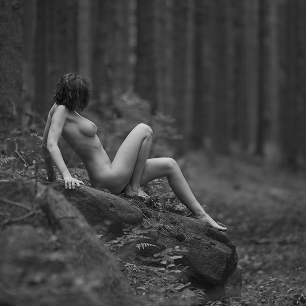 forest nymph Artistic Nude Photo by Photographer bagnino